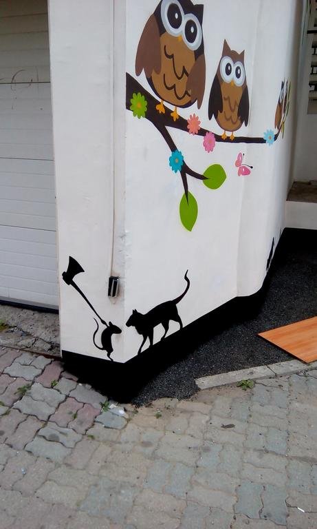 Гостиница Filin i Sova Mini Hotel Владивосток-31