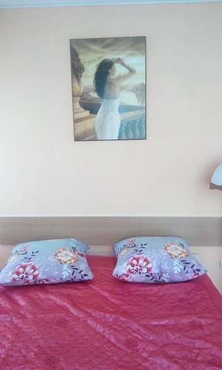 Гостиница Filin i Sova Mini Hotel Владивосток Двухместный номер с двуспальной кроватью-12